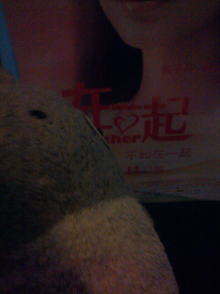 IMG_20130214_094852.jpg